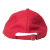 Michigan Adjustable Wool Baseball Hat